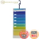 【送料無料】Esselte エセルテ ソーテッド6段 3WAYファイル A4 6ポケット 見出しラベル付 収納 壁掛けポケット 書類整理 吊り下げフック ウォー...