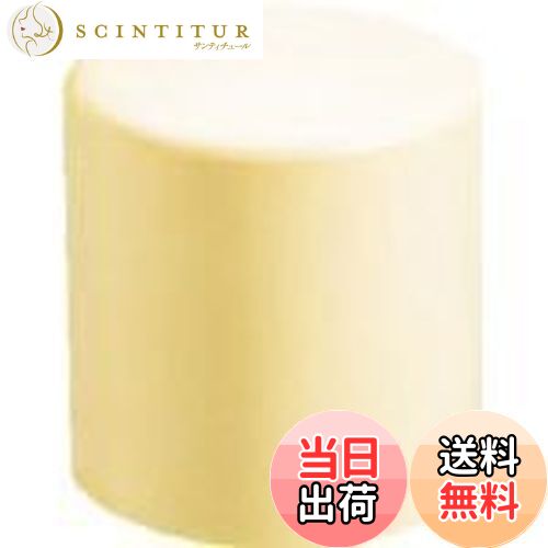 【送料無料】ベッセル(VESSEL) プラスチックハンマー替頭70#2 70H20