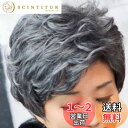 かつら 女性 白髪 年配 ウイッグ ショート パーマ 中高年