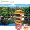 【送料無料】エポック社 2000スーパースモールピース ジグソーパズル 日本風景 新緑の金閣寺-京都 (38×53cm) 54-001 のり付き ヘラ付き 点数券付き EPOCH