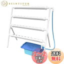 【送料無料】LAPOND 水耕栽培キット 室内水耕栽培 中型水耕栽セット 野菜栽培セット タイマー/自動施肥/給水 循環式ポンプ LEDライトで栽培可能 家庭菜園 ベランダ 日本語説明書付き(片面4チューブ 36 穴)