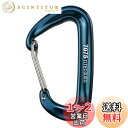 TITECOUGO カラビナ 12Kn 登山用 大 カナビラ Dd リング 工具用 1T スリング ハンモック ベルト ポーチ 道具 釣り 中 付 作業台 金具 ガジェット サイドバッグ ハンモックベルト アクセサリーホルダー 登山釦 ピーコックブルー 2個