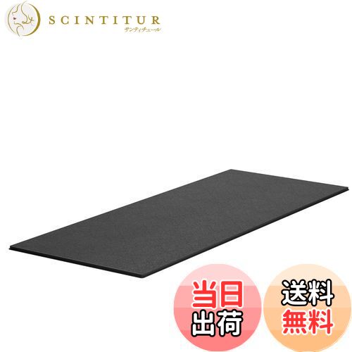 【送料無料】PROIRON エアロバイク マット 防音マット 床 トレーニング ランニングマシン マット バイ..