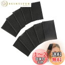 RICISUNG 前髪クリップ【10枚】前髪とめーる 前髪固定シート ヘアホルダー ヘアクリップ マジックテープ ヘアベルクロ固定フリンジ 洗顔 化粧用