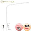 Lepro デスクライト クランプ led 目に優しい クランプライト スタンドライト 電気スタンド 【電球色・白色・昼光色/10段階明るさ/5W省エネ/Ra80演色/明るい/独立ボタン制御/360°角度調整可能/USB給電式/1.5Mケーブル】 テーブルライト 卓上ライト 台灯 卓上照明 勉強机