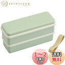 【送料無料】スケーター(Skater) 弁当箱 くすみグリーン 630ml 2段 シリコン製内蓋スリムタイプ 女性用 日本製 SSLW6AG-A