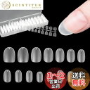 【送料無料】FINGOOO ネイルチップ 超薄 300枚 ショート 短め クリア ミディアム 付け爪 つけ爪 自然なフィット感 密着 (オーバルS)