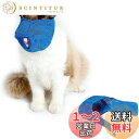 【送料無料】Doyime 猫用マスク ペット口輪 猫用 爪切り 耳掃除 マスク ペット 目隠し 保護マスク 通気性 噛みつき防止 やわらか生地 拾い食い防止 猫のマズル 爪切り補助用 キャットマズル 猫用マスク 猫 お風呂 暴れる猫ちゃん用 Lコード 青 ペット用 (L, ブルー)