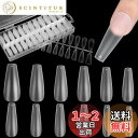 【送料無料】FINGOOO ネイルチップ 超薄 240枚 ロング クリア 長さ出し 長さだし ミディアム 付け爪 つけ爪 自然なフィット感 密着 (バレリーナL)
