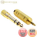 【送料無料】XSAJU 変換アダプタ 変換プラグ 3.5mm 6.35mm ステレオプラグ 金メッキ ヘッドホン マイク アンプ ミキサー 楽器 (3.5mmメスー6.35mmオス×1本、6.35mmメスー3.5mmオス×1本)