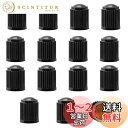 【送料無料】エアバルブキャップ 15個セット タイヤバルブキャップ Oラバーリング付き 車用エアバルブキャップ 自転車用 長持ち 気密シール 自動車 バイク トラック用 樹脂製 (ブラック)