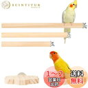 IRRVIN 5個セット 鳥用止まり木 インコ とまり木 スタンド インコ おもちゃ パーチ インコ爪を磨く 噛むおもちゃ 鳥休み場所 ストレス解消 遊び道具 ...