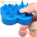 【送料無料】Lyyxjsltd ウカウカ スカルプブラシ ケンザン(頭皮用ブラシ)女の子専用の柔らかい歯付きシャンプーコーム、ヘアコーム、頭経絡コーム、シリコンシャンプーブラシ (ブルー)