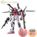 HG 1/144 MBF-02 ストライクルージュ + I.W.S.P. (機動戦士ガンダムSEED MSV)