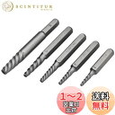 【送料無料】(STRAIGHT/ストレート) 逆タップセット 5ピース ショックドライバー用 19-852
