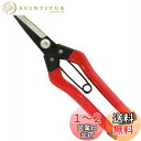 【送料無料】近与(KONYO) 永吉 青果鋏 210mm