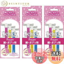 【送料無料】Schick(シック) Tディスポ 使い捨て ボディ用 (3本入)×3個 カミソリ 女性