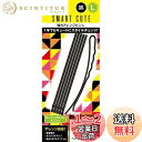 貝印 スマートキュート(SmartCute) 強力アレンジピンL (黒 ) HC3320