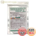 コモライフ(Comolife) ユスリカ・チョウバエブロック粒剤50g 害虫対策 発生抑制 側溝 浴室 トイレ 雨水マス(効果:投入後約1~2ヶ月)
