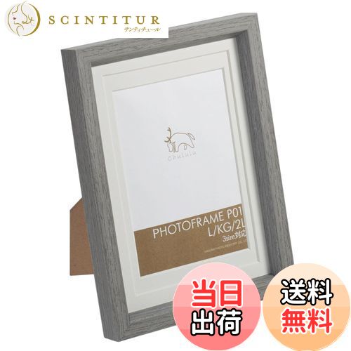 ハクバ HAKUBA 額縁 Chululu(チュルル) フォトフレーム P01 L/KG/2Lサイズ兼用 グレー FCHL-P01GY