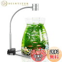 EAYHM 水槽 ライトと水草植物育成ライト スタンド 多機能 カラー LED 小型アクアリウム ライト