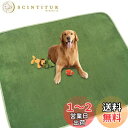 【送料無料】犬 猫用洗えるペットシーツ おしっこパッド ペット用 下敷き マット 速乾 滑り止め加工 介護シーツ 洗濯機で丸洗い 繰り返し利用可能(グリーン165x122cm)