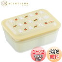 【送料無料】スケーター(Skater) 弁当箱 Ag+ 抗菌 ふわっと盛れる パッキン一体型 1段 450ml ミッフィー PAS5AG-A