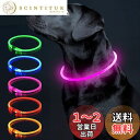 【送料無料】Colaseeme 商標(6593610) 犬光る首輪 視認距離500mで夜間も安心 犬 猫 光る 首輪 ライト 夜 散歩USB 充電式 (急速充電器を使用せず、コンセント電圧を5V未満にしてください。)