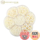 Hitasi 半円パール 3100粒 半球パール ABS パールストーン パールスカボション 2/3/4/5/6/8/10Mm 光沢 半球型 ネイルアート 衣類...