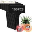 【送料無料】園芸ラベル 植物タグ 植物ラベル 黒 T型ラベル 100枚入り 園芸 花壇 鉢植 ガーデニング 再使用可能 ガーデニング 看板 ミニ黒板 インテリア...