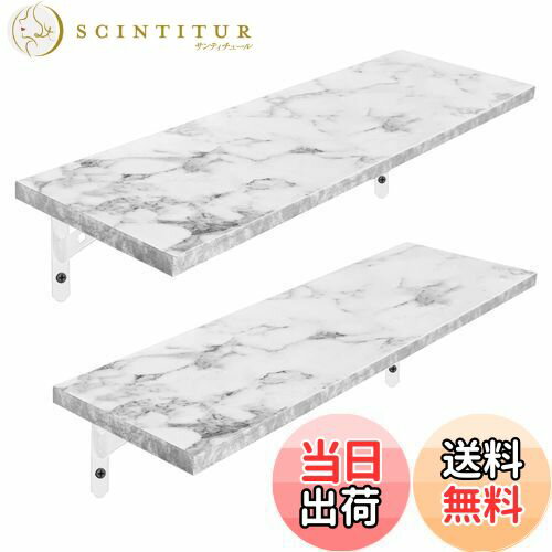 【送料無料】HASONA ウォールシェルフ 壁掛け棚 (防水 防カビ 壁 棚 ラック 幅42cm×奥行15cm) 防虫 滑..