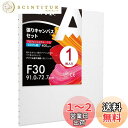 【送料無料】AUREUO 張りキャンバス セット F30 (91cmX72.7cm) 中目 全麻 1枚 リネン 専門の絵画用具 芸術絵創作 現代油絵 美術装飾 水彩画・油絵画・アクリル兼用…