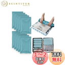 【高級整理収納アドバイザー監修】CLEVHOM 圧縮袋 旅行 衣類圧縮袋 便利グッズ 真空あっしゅくバッグ 手巻き 衣類収納バッグ 下着 カビ ダニ対策 防塵 防湿 省スペース 再利用可能 ポンプ不要 押すだけ 小物収納 修学 出張 引越し用 Lサイズ 40 x 60 cm 10枚入 緑