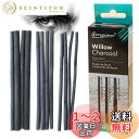 【送料無料】DanYun 12本セット 木炭スティック 木炭 デッサン チャコール 絵画 スケッチ 木炭筆 手を汚れない 画用木炭 画材 美術用品 描画ツール 8mm 5mm 4mm