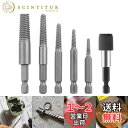【送料無料】スクリューエキストラクター 逆タップセット 折れたボルトに 破損したネジの除去 ハンド ツール大工 ビス頭抜く専用工具 六角ハンドル ショックドライバー用 ポストリムーバー付き 6本セット六角軸ネジ取りビットで潰れたネジや破損したボルトの取り外しに最適な