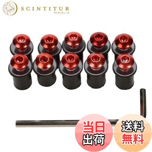 【送料無料】LOYELEY スクリーンボルト 10個セット M5 5mm ボルト ウェルナット 風防ネジ ウインドスク..