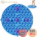 【送料無料】HYILUFEI 足ツボマット 指圧板 指圧ボード 足裏マッサージ 家庭用 人間工学 マッサージマット 足つぼ フットマッサージボード 足のリラックス 折りたたみ コンパクト (青, 円形)