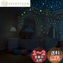 【送料無料】GLOWZEN 蓄光シール ウォールステッカー 蓄光星+丸型 942個セット 装飾屋内の夜間安全対策