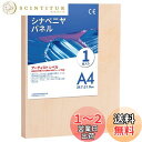 【送料無料】AUREUO シナベニヤパネル - A4(29.7*21CM) / 1枚 - 1.9cm 厚み 樺木、松木製 絵画用パネルボード 工芸創作、ウッドバーニング、ポーリングアート兼用