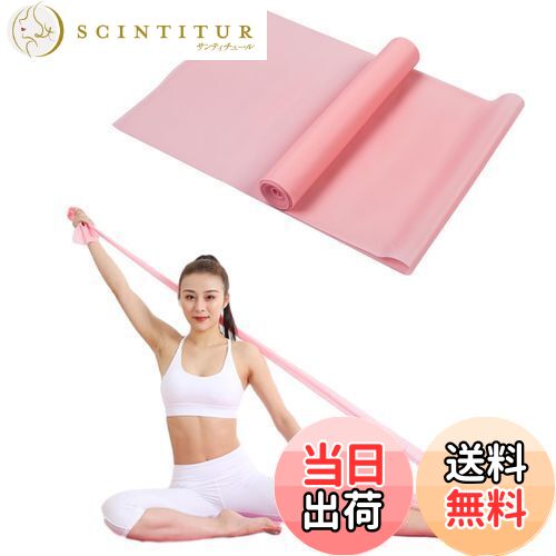 【送料無料】Phyxiul フィットネスバンド トレーニング チューブ ヨガバンドヨガ用 ダイエット フィット筋トレ お尻トレ 脚トレ 男女兼用 携帯便利 筋力トレーニング リハビリに最適 (ピンク) 【送料無料】Phyxiul フィットネスバンド トレーニング チューブ ヨガバンドヨガ用 ダイエット フィット筋トレ お尻トレ 脚トレ 男女兼用 携帯便利 筋力トレーニング リハビリに最適 (ピンク)