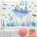 【送料無料】WOHAHA ウォール ステッカー 海の生き物 サンゴ クジラ ウォールペーパー 水中世界 イカ ウミガメ 壁 シール おしゃれ ウォールデコ 可愛...