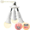 DiCUNO LED電球専用 3分岐ソケット E26口金 LED電球付き 60W相当 9W 電球色 2700K 照射角度可調