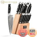 Nanfang Brothers 15点包丁セット 67層 ダマスカスV金10号 三徳包丁 牛刀包丁 シェフナイフ ?ぱんきり 柳刃包丁 実用包丁 ペティナイフ...