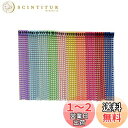 【送料無料】ボールチェーン コネクター付き シルバー 12cm (マルチカラー50pc)