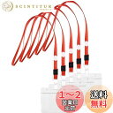 【送料無料】Aumesa Rano 20枚セット 名札 ネームホルダー 首掛け 名刺 ID カード ホルダー ネックストラップ 吊り下げ イベント スタッフ パ...