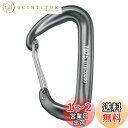 TITECOUGO カラビナ 12 KN ハンモック 1200 KG キャンプ フック 大 ツリークライミング 船舶用品 登山釦 カラビナ クリップ Dd キーホルダー 多機能 リング アウトドア 用 錆びない 頑丈 釣り グレー 2個