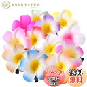 Frcolor お花 ヘアピン ヘアクリップ 花 プルメリア花 ヘアアクセサリー ヘアクリップ ハワイ 髪飾り ヘッドドレス 6cm 12色 24個セット