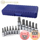 WORKPRO トルクスビットソケットセット トルクスレンチ 差込角 6.35mm 9.5mm 12.7mm 13点1セット