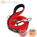 【送料無料】THAIN リード 犬 リード 小型犬 中型犬 大型犬 ペット用品 3M反射材料 柔らかいスポンジの肥厚したハンドル 簡単 トレーニング 犬用 リード(2.0*120cm,レッド)