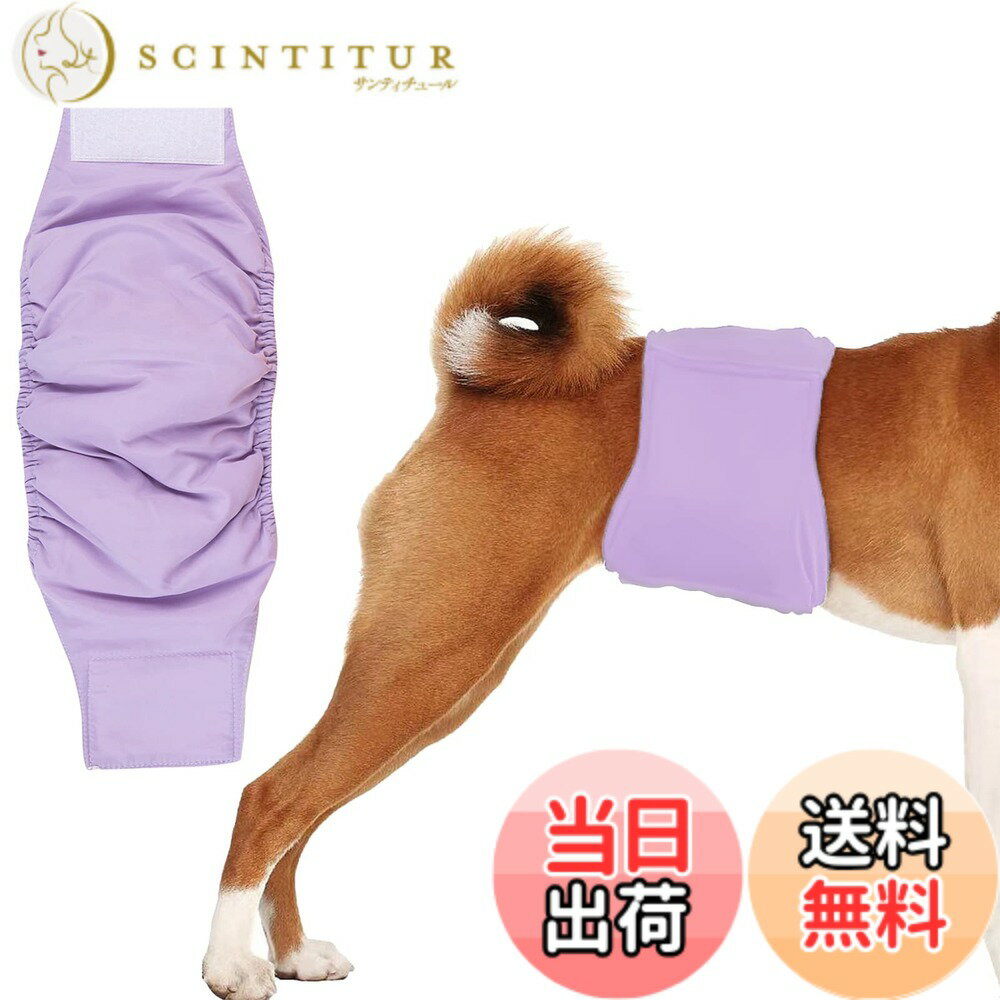 【送料無料】KUVEELA PET 犬用マナーベルト 雄犬用おむつ 犬用オムツカバー 男の子 お散歩 お外出 室内 おでかけ 介護 発情期 通気性 吸水性良い 再利用可能 色：パープル、サイズ：M